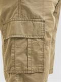 JPSTCOLE MATEO CARGO SHORT MID SN elmwood