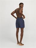JPSTFIJI JJSWIM DB WB LY REG SN dunkelblau2