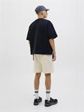 JPSTGORDON FUSION SWEAT SHORTS SRT SN moonbeam
