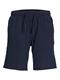 JPSTJAIDEN PALMA SEERSUCKER SHORT SRT dunkelblau1