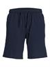 JPSTJAIDEN PALMA SEERSUCKER SHORT SRT dunkelblau1