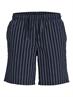 JPSTJAIDEN PALMA SEERSUCKER SHORT SRT dunkelblau2