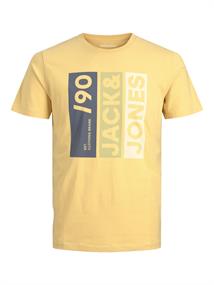 JWHJIO TEE SS CREW NECK jojoba