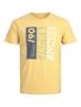 JWHJIO TEE SS CREW NECK jojoba