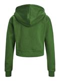 JXABBIE REG LS EVERY ZIP HOOD SWT NOOS formal garden