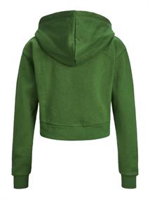 JXABBIE REG LS EVERY ZIP HOOD SWT NOOS formal garden