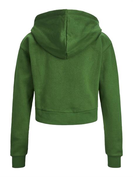 JXABBIE REG LS EVERY ZIP HOOD SWT NOOS formal garden