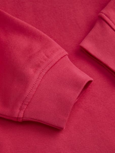 JXABBIE RLX LS EVERY HOOD SWT NOOS barberry