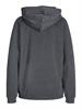 JXABBIE RLX LS EVERY HOOD SWT NOOS dark grey melange