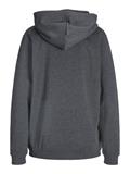JXABBIE RLX LS EVERY HOOD SWT NOOS dark grey melange