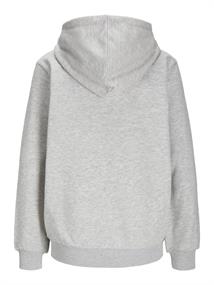 JXABBIE RLX LS EVERY HOOD SWT NOOS light grey melange