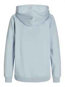 JXABBIE RLX LS EVERY HOOD SWT NOOS skyway