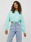 JXALFA LOOSE LS EVERY CROP HOOD SWT SN aruba blue