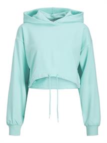 JXALFA LOOSE LS EVERY CROP HOOD SWT SN aruba blue