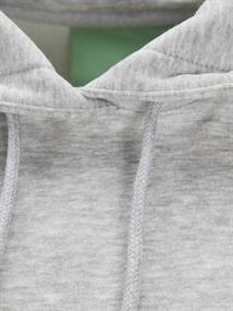 JXALLY VOL LS HOOD SWT SN light grey melange