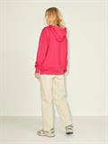 JXANINA LS REL EVERY HOODIE NOOS bright rose