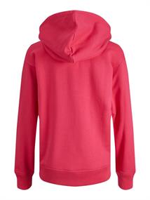 JXANINA LS REL EVERY HOODIE NOOS bright rose