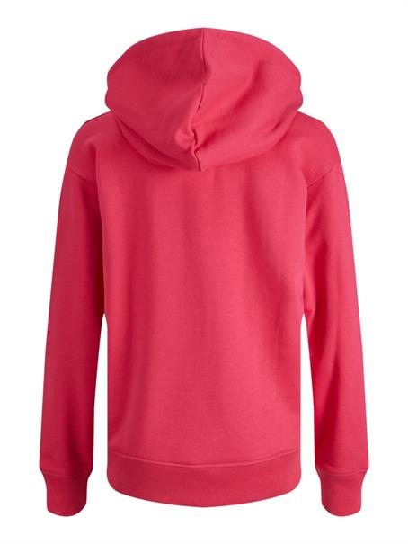 JXANINA LS REL EVERY HOODIE NOOS bright rose