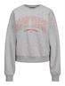 JXMERLE RLX SHORT LS CREW SWT LN light grey melange
