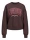 JXMERLE RLX SHORT LS CREW SWT LN sassafras