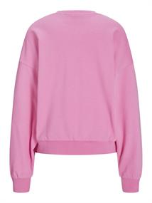 JXMERLE SPRING RLX SHORT LS CREW SWT LN morning glory