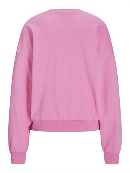 JXMERLE SPRING RLX SHORT LS CREW SWT LN morning glory