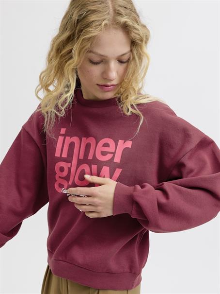 JXMIMI RLX LS PRINT CREW SWT cabernet
