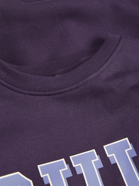 JXOHIO RLX LS CREW SWT purple velvet