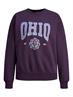 JXOHIO RLX LS CREW SWT purple velvet