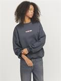 JXSANDRA RLX LS CREW SWT asphalt
