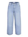 JXSANTIAGO WIDE CROP R324 DNM LN light blue denim