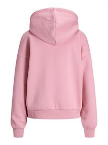 JXSTUDIO VESTERBRO LS RLX HOOD SWT NOOS morning glory