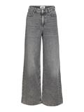 JXTOKYO WIDE HW R6223 JEANS DNM grey denim