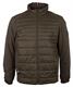 Kragenjacke oliv