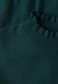 Kurzarm Pullover mit Turtle Neck mossed green