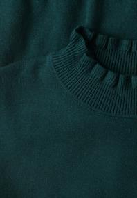 Kurzarm Pullover mit Turtle Neck mossed green