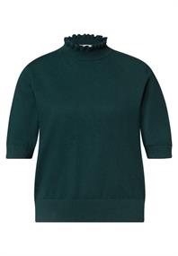 Kurzarm Pullover mit Turtle Neck mossed green