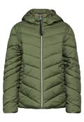 Kurze Steppjacke winter moss green