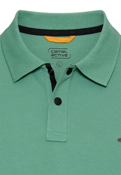 lagoon green
