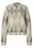 Langarm Blouson mit Karomuster eucalyptus green