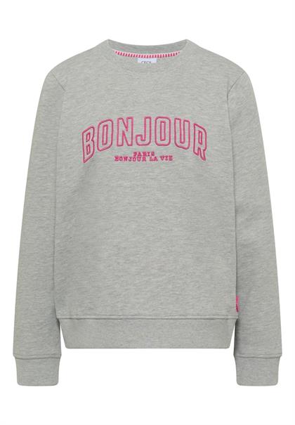 Langarm Sweatshirt mit Stickerei milky grey melange