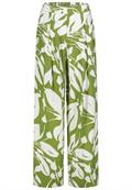 leaves: golden cypress green-white