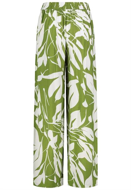 leaves: golden cypress green-white