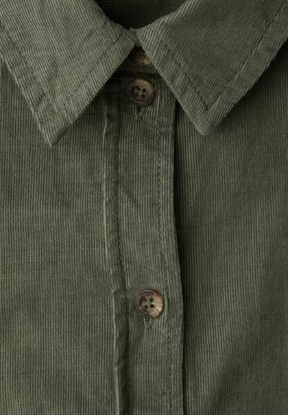 lichen green