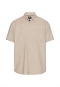 light beige