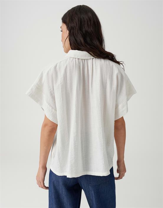 light-cotton