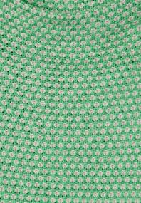 light spring green