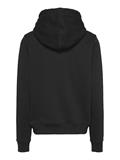 Linear Logo Embroidery Drawstring Hoody black
