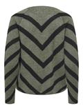 lizard-w- black