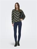 lizard-w- black
